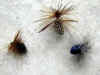 mouches noires, bleu, grise